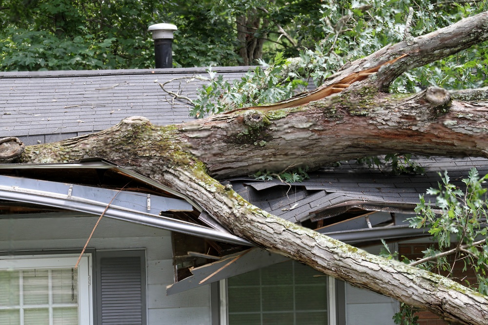 Trustworthy Storm Damage Restoration Company for Quick Restoration